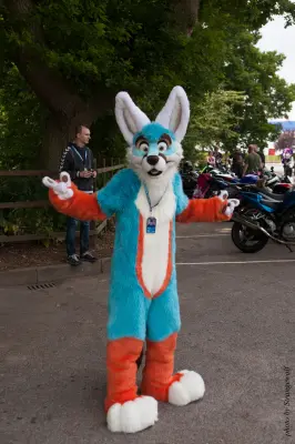 IMG_7183-lr16t.jpg of CFZ/CFZ2016/