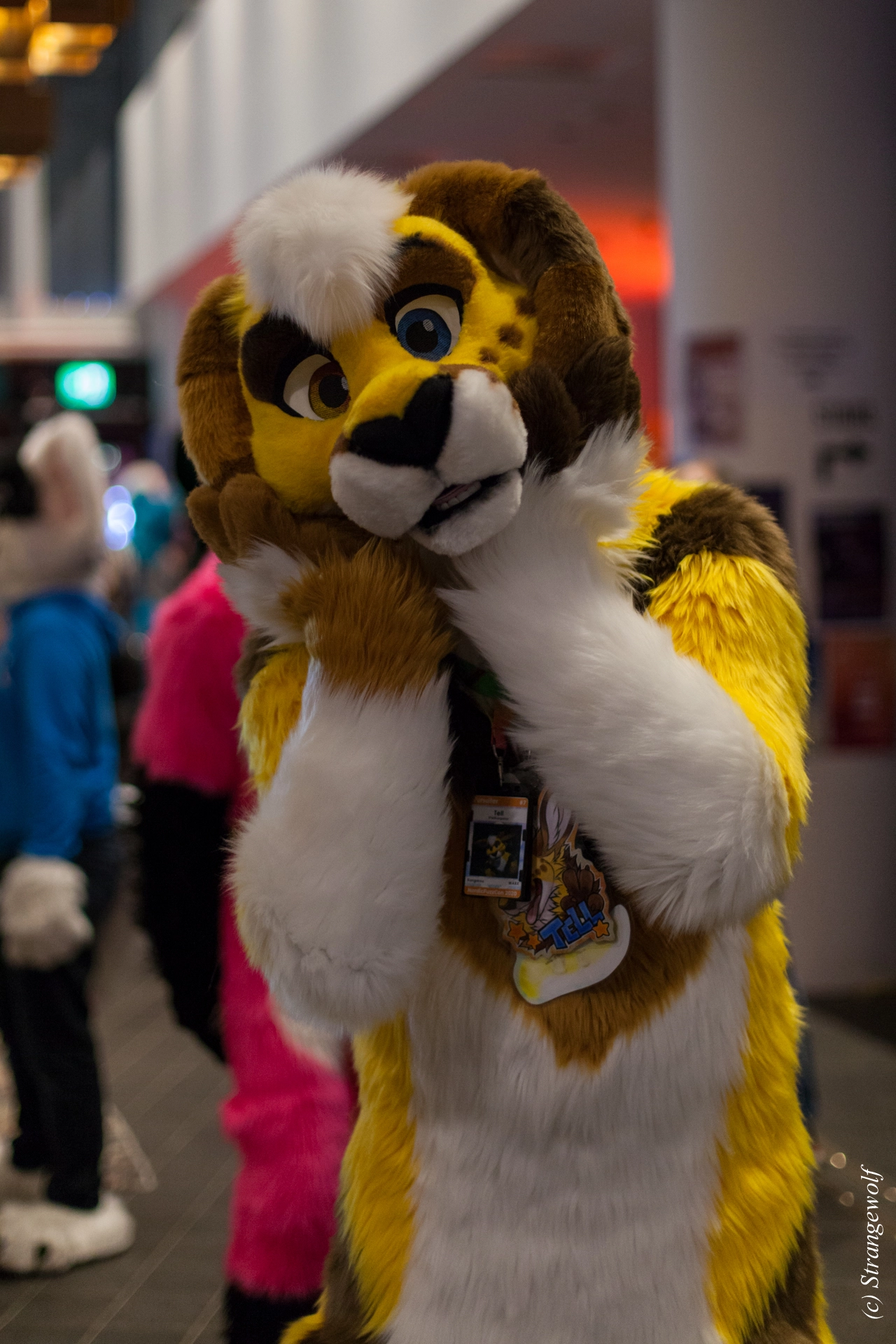 full image IMG_9134-lr19t.jpg