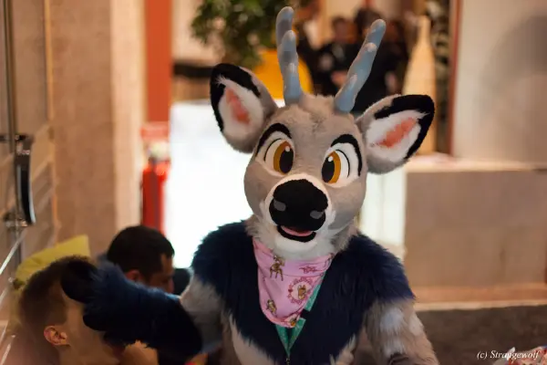 IMG_9765-lr19t.jpg of NFC/NFC2019/