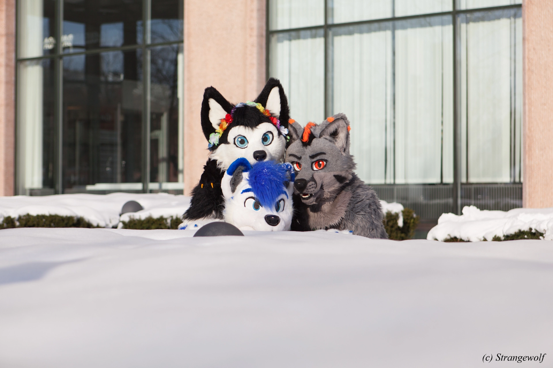 full image IMG_9979-lr19t.jpg