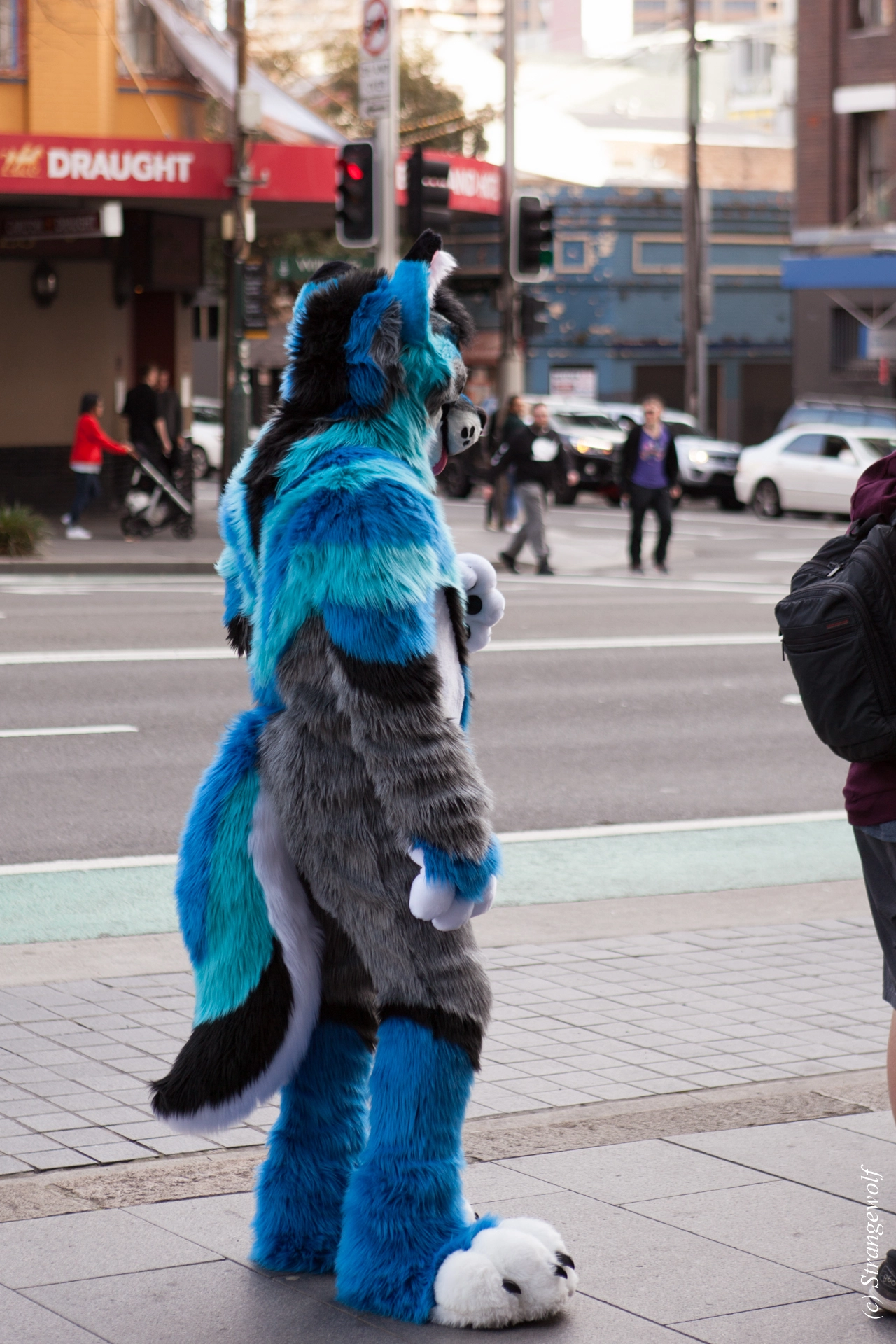 full image IMG_4544-lr19t.jpg