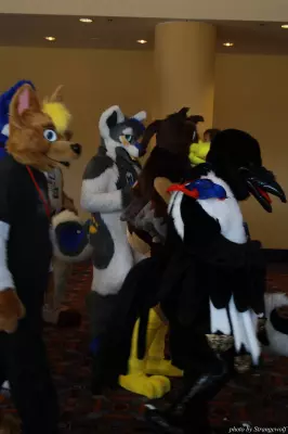 IMG_0532-lr.jpg of MFF/MFF2013/
