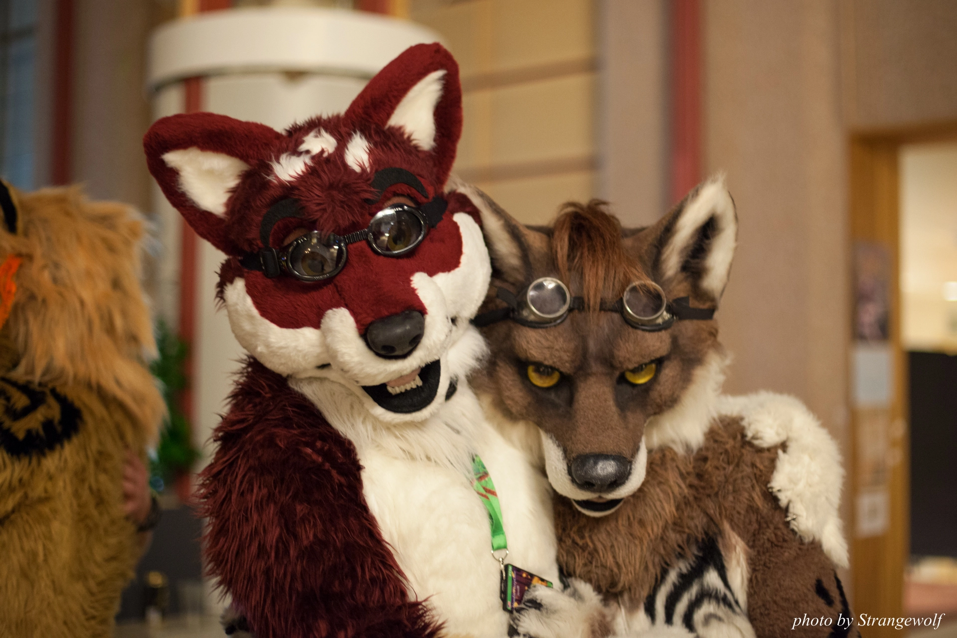 full image IMG_0265-lr19t.jpg