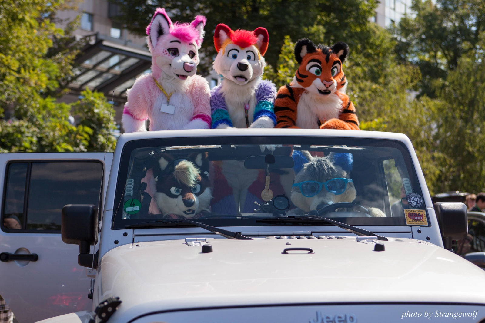 full image IMG_2219-lr16t.jpg