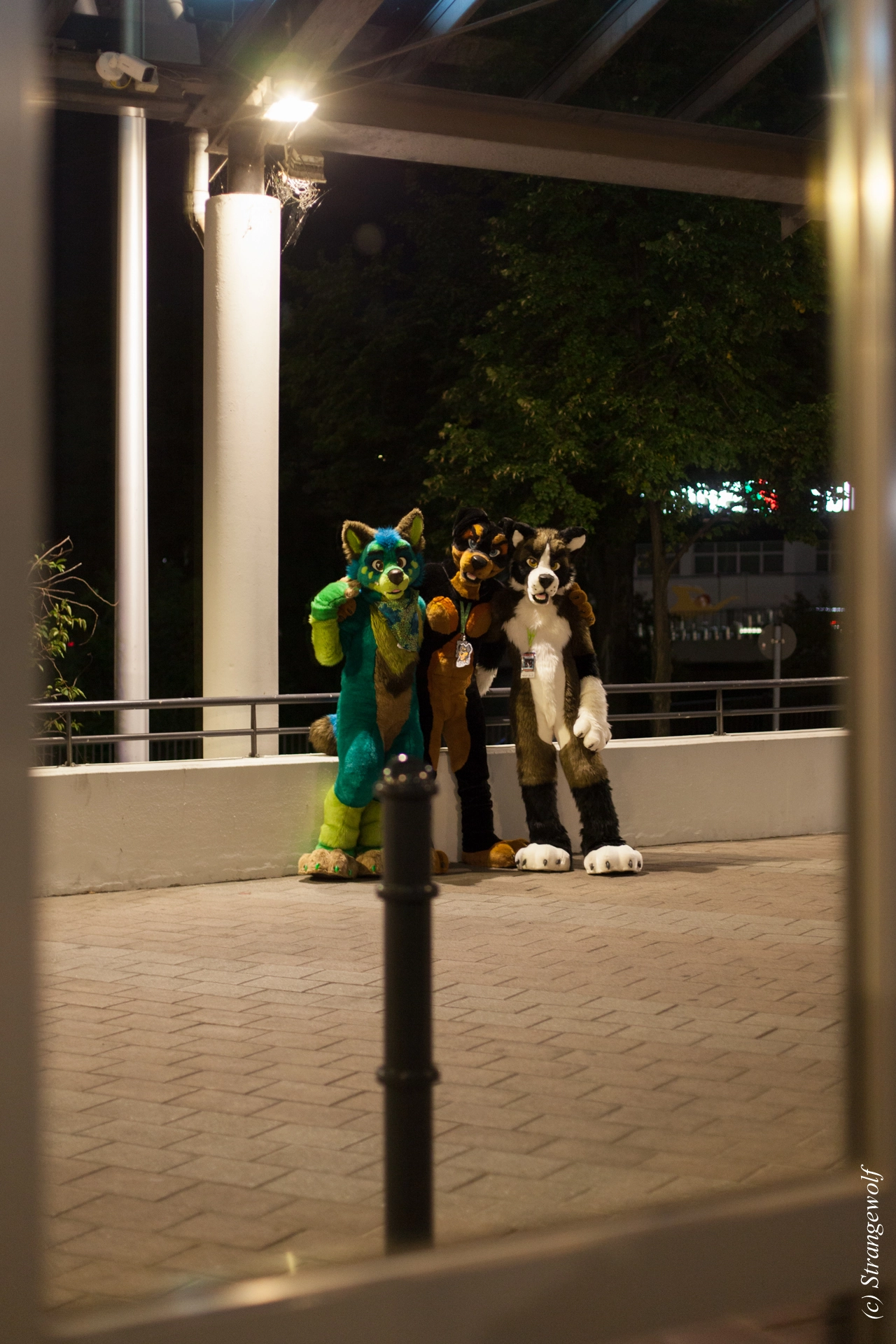 full image IMG_5405-lr19t.jpg