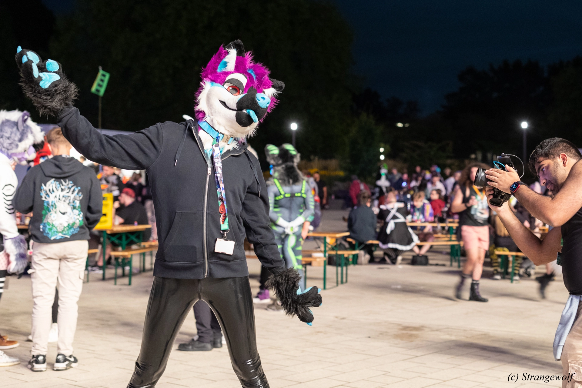 full image 1R3A9436-lr19t.jpg