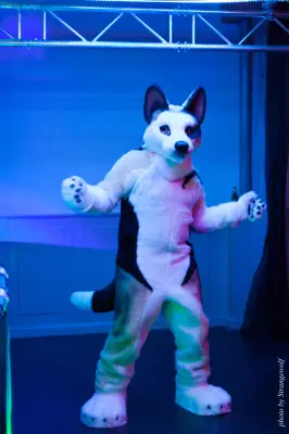 IMG_5388-lr16t.jpg of DFD/DFD2017/