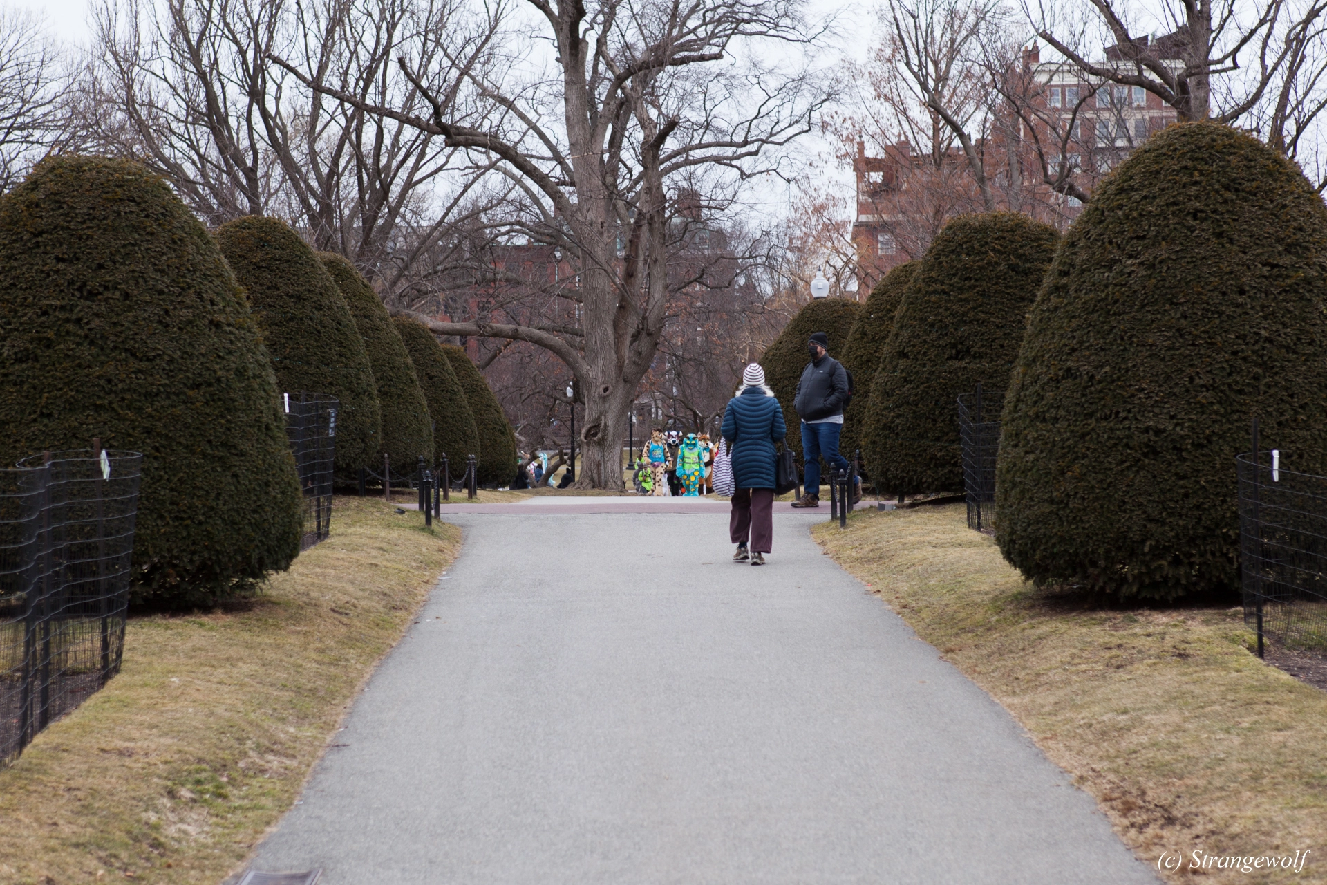 full image IMG_3097-lr19t.jpg