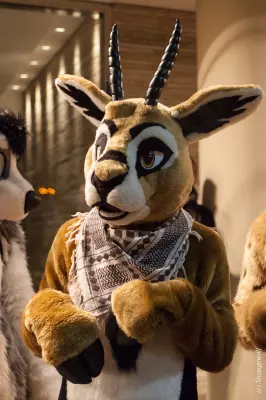 IMG_6991-lr19t.jpg of MFF/MFF2018/