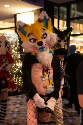 1R3A0966-lr19t.jpg of MFF/MFF2025/