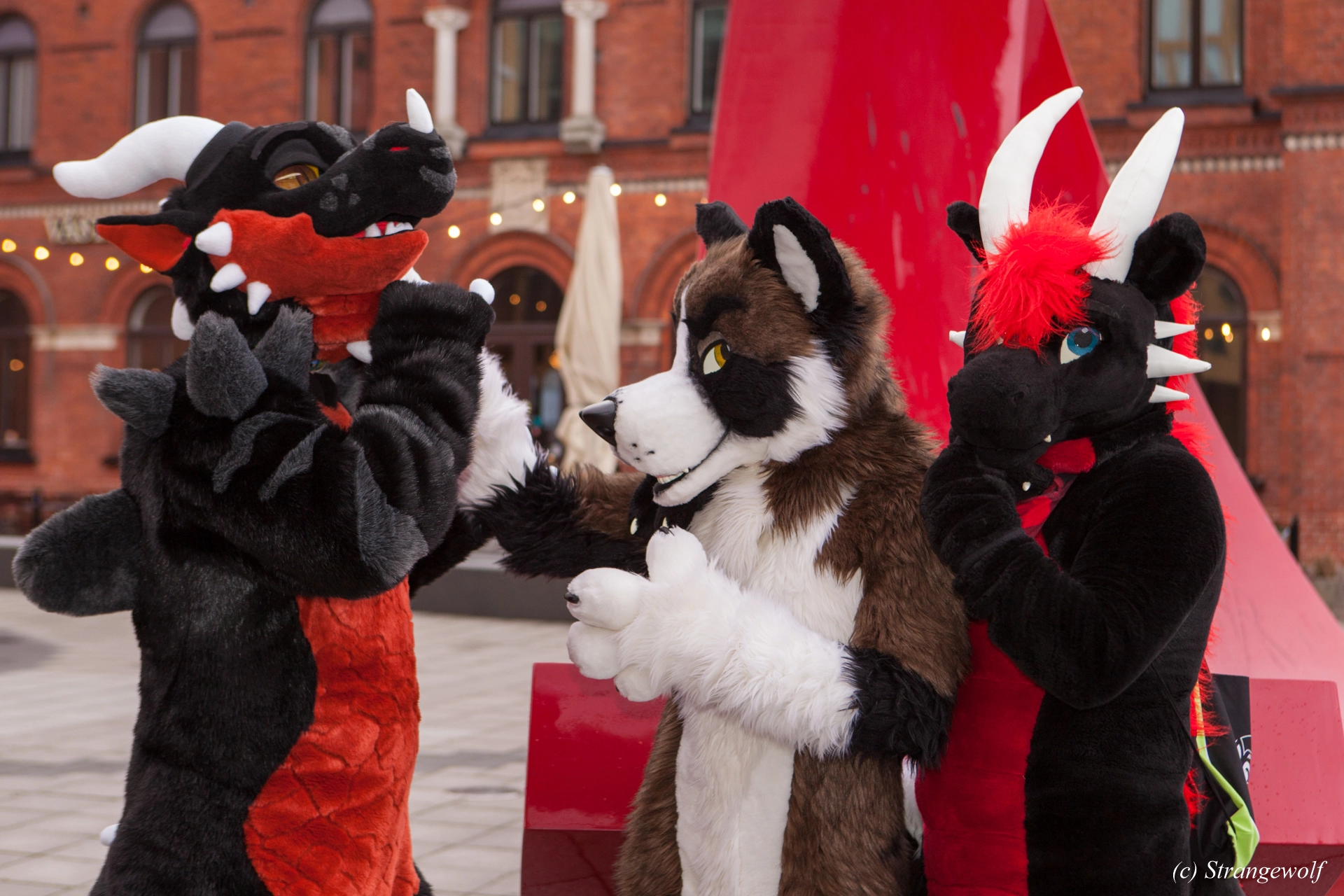 full image IMG_8973-lr19t.jpg