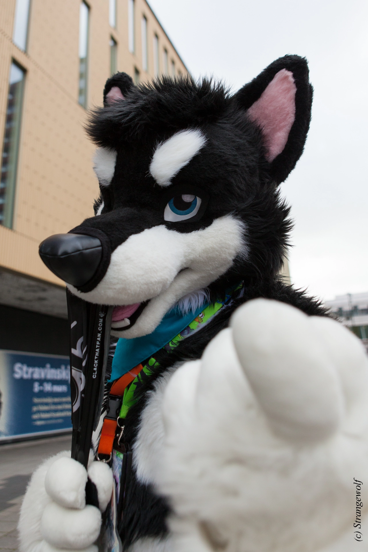 full image IMG_8389-lr19t.jpg