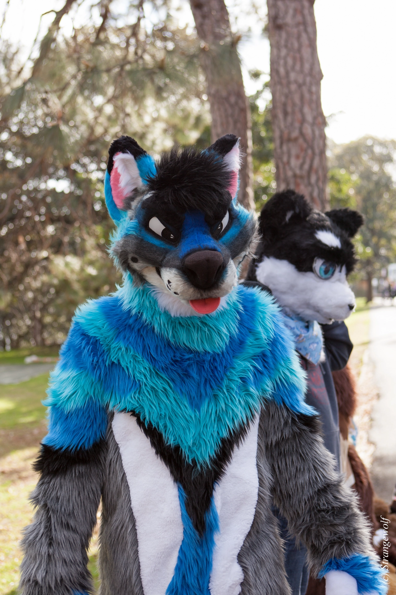 full image IMG_4235-lr19t.jpg