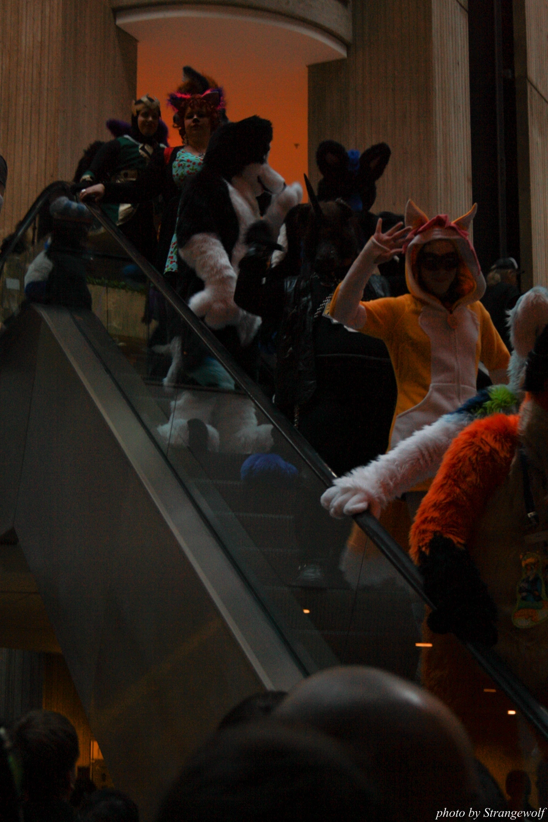 full image IMG_0595-lr.jpg