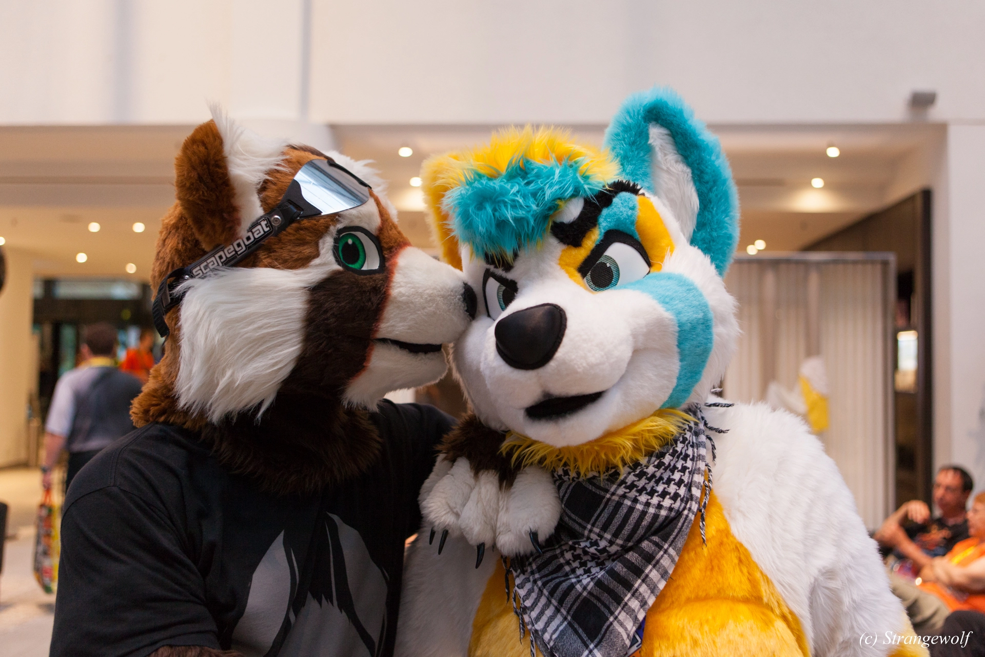 full image IMG_5100-lr19t.jpg