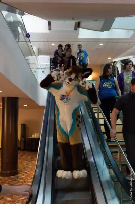 IMG_4130-lr16t.jpg of MFF/MFF2015/