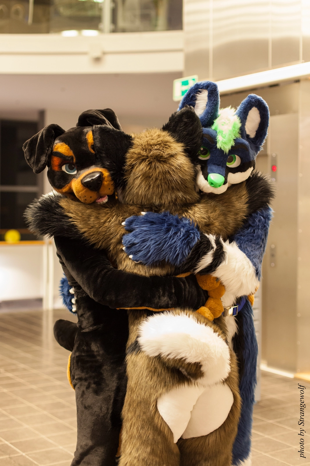 full image IMG_1976-lr16t.jpg