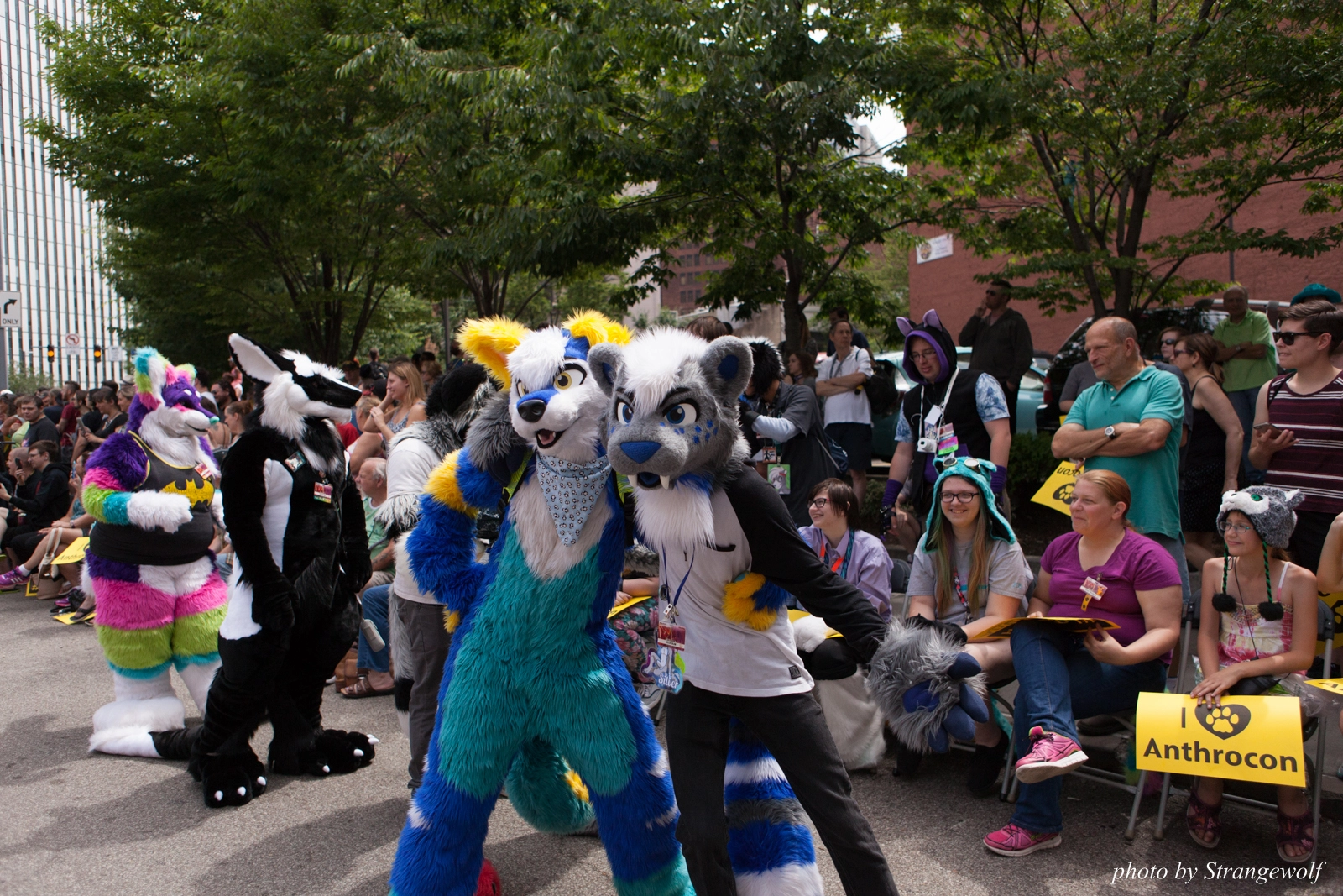 full image IMG_8060-lr16t.jpg
