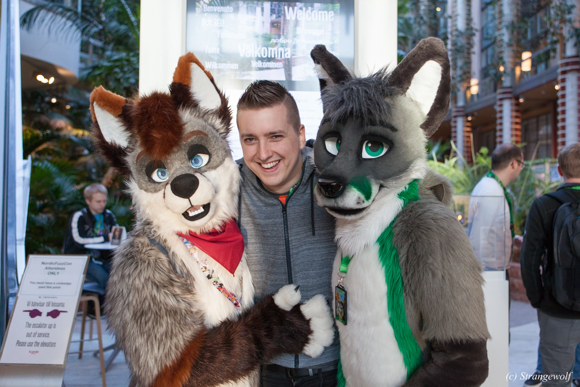 full image IMG_0157-lr19t.jpg