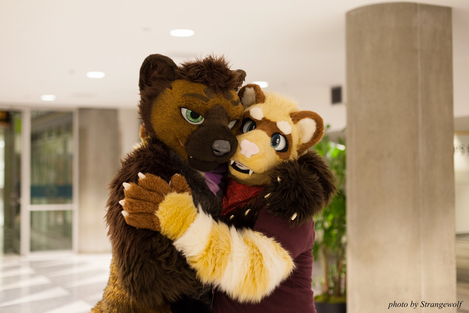 full image IMG_1107-lr16t.jpg