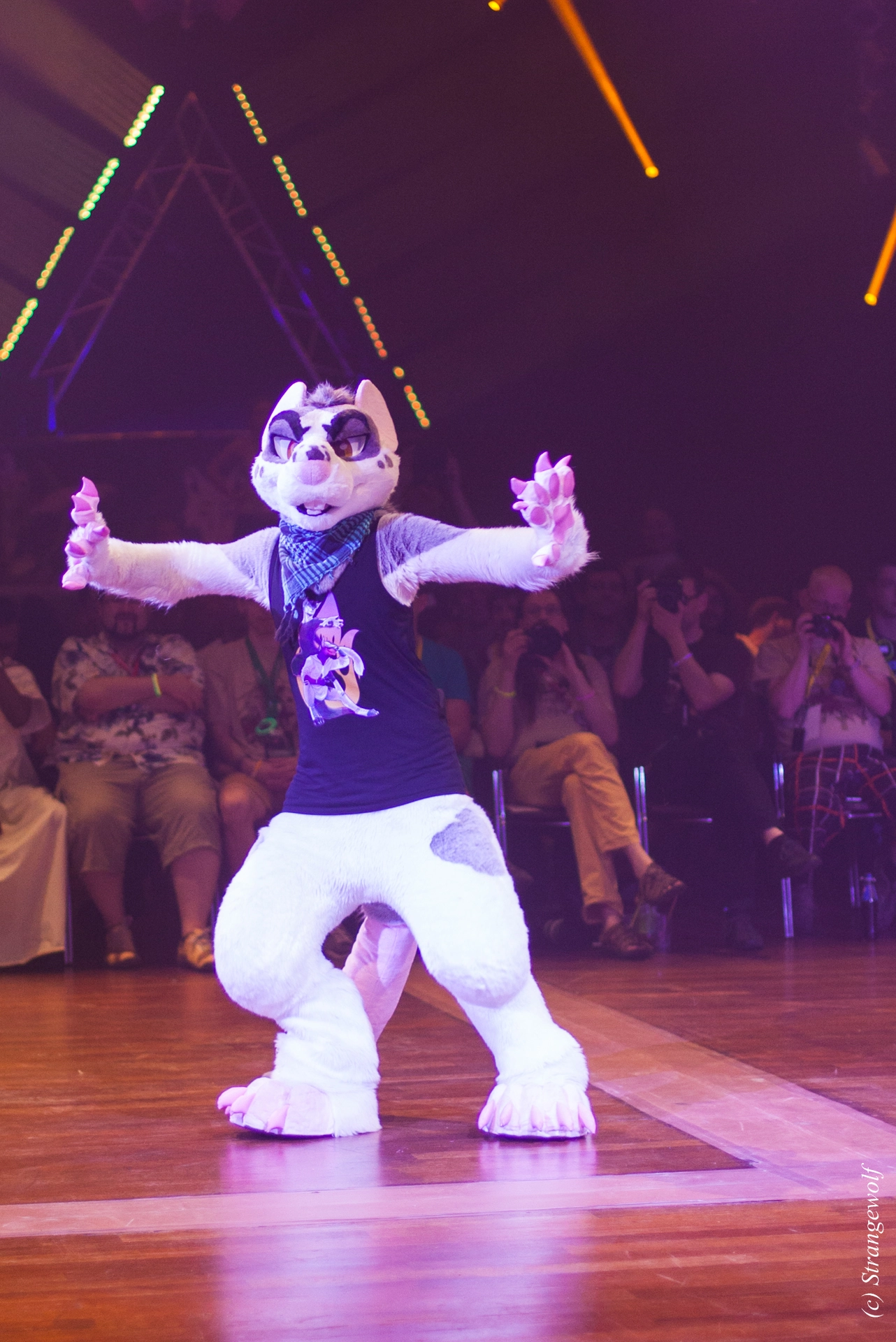 full image IMG_6353-lr19t.jpg