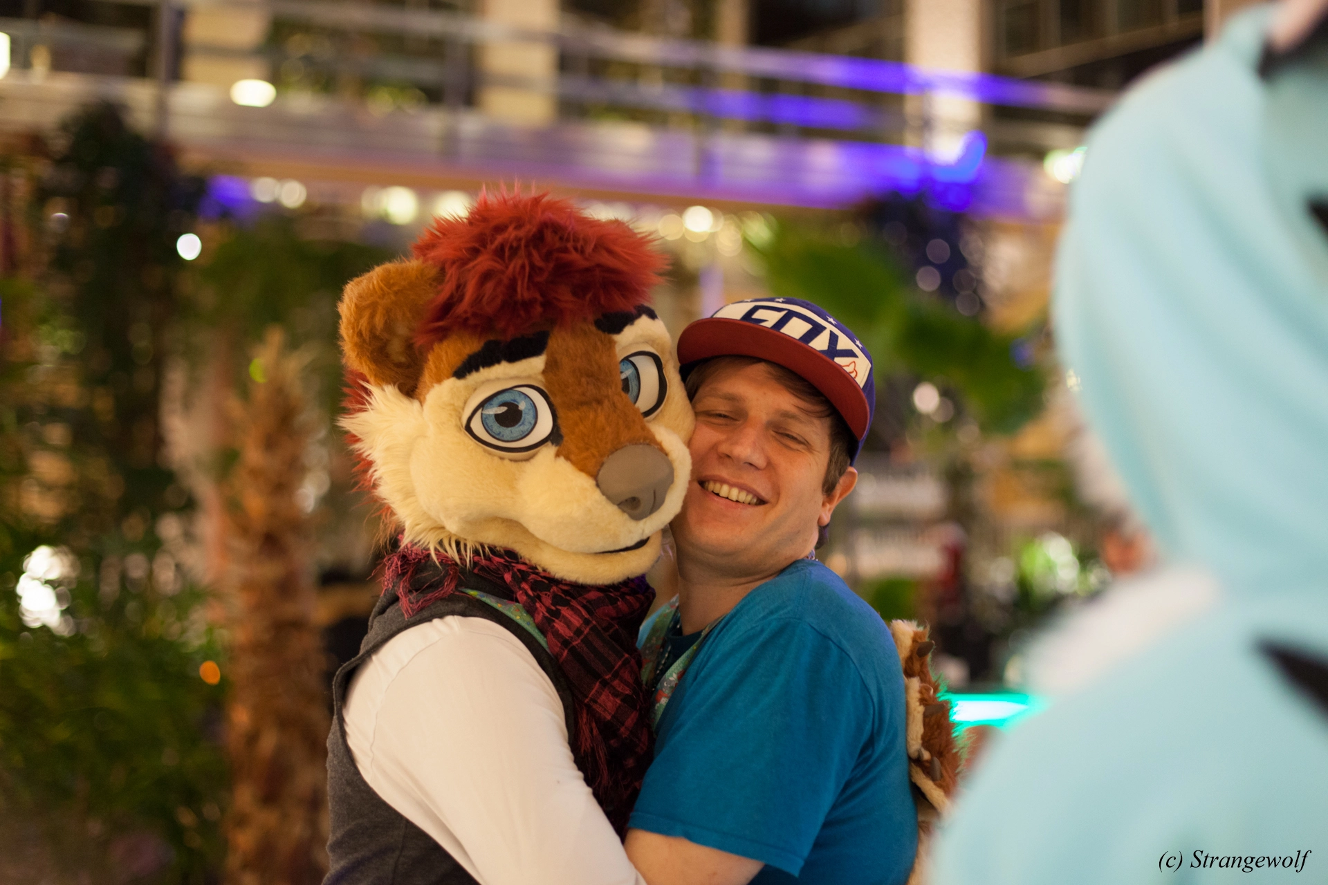 full image IMG_9885-lr19t.jpg