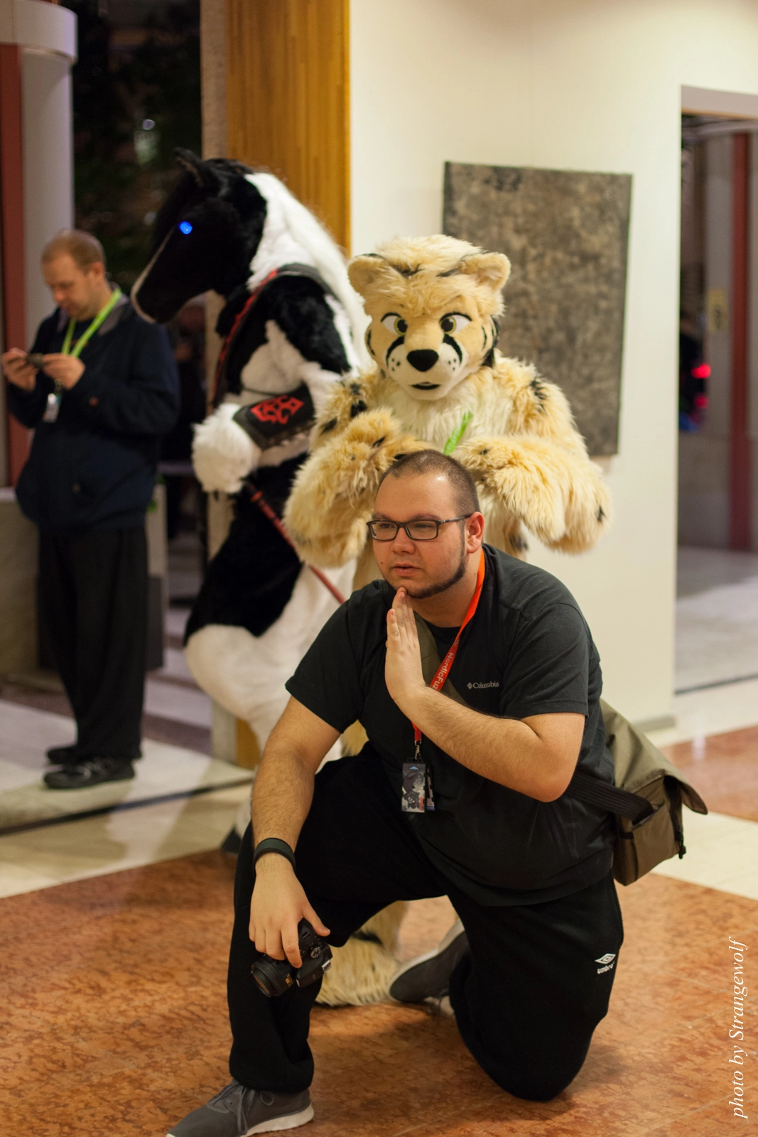 full image IMG_1614-lr16t.jpg