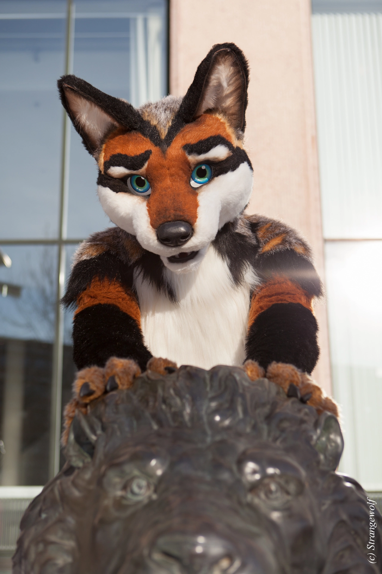 full image IMG_0043-lr19t.jpg