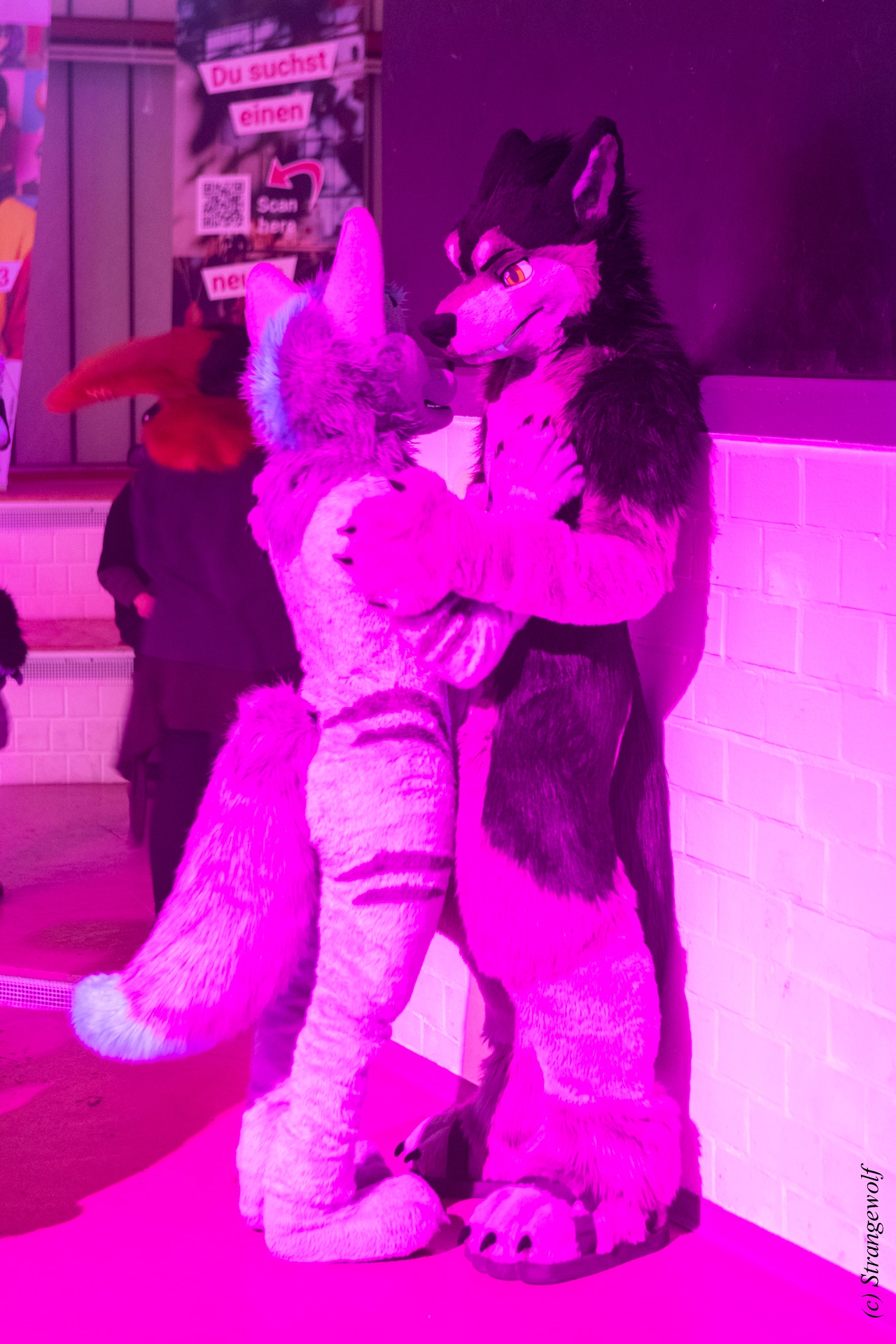 full image 1R3A3303-lr19t.jpg