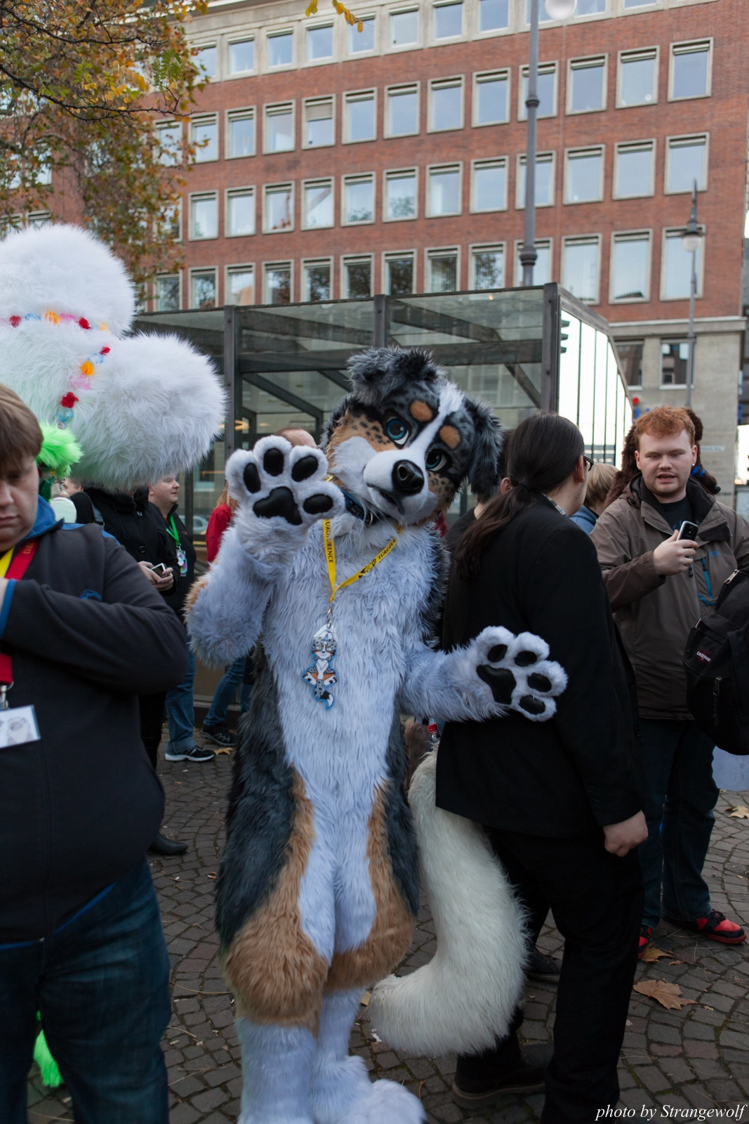 full image IMG_5324-lr16t.jpg