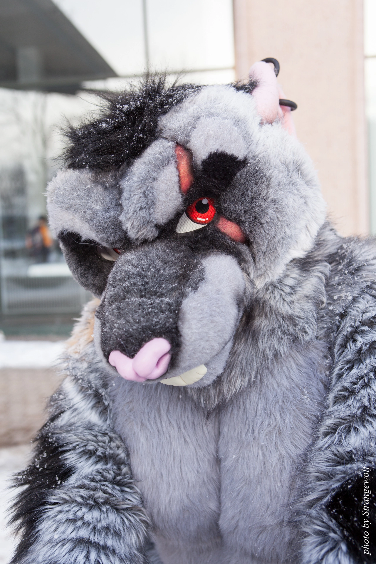 full image IMG_0371-lr19t.jpg