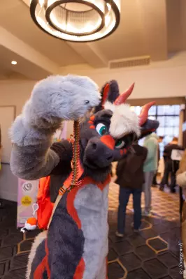IMG_2773-lr19t.jpg of ANE/ANE2022/