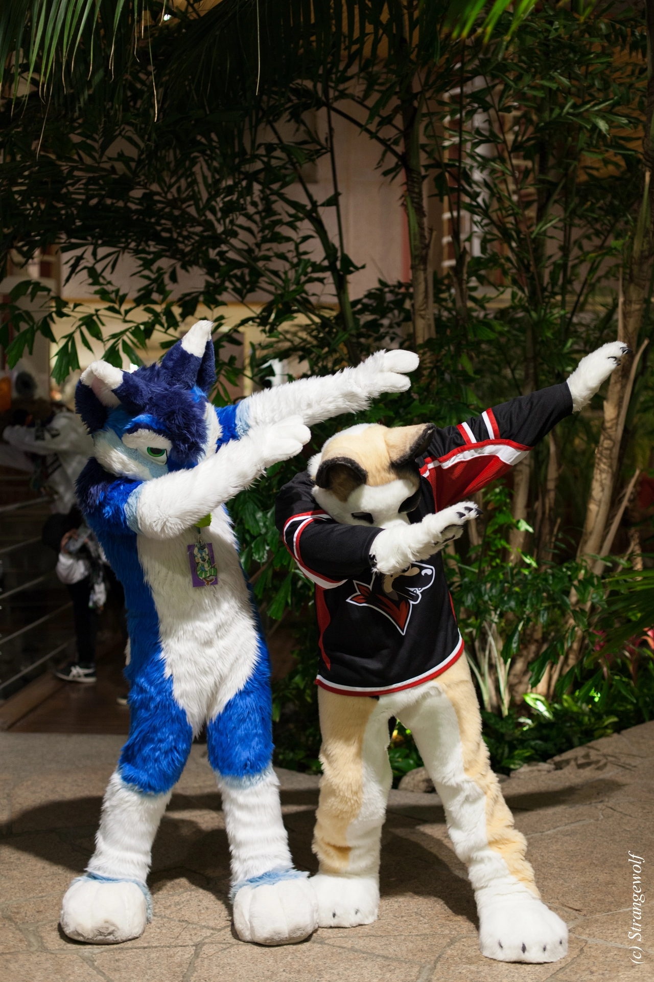 full image IMG_9065-lr19t.jpg