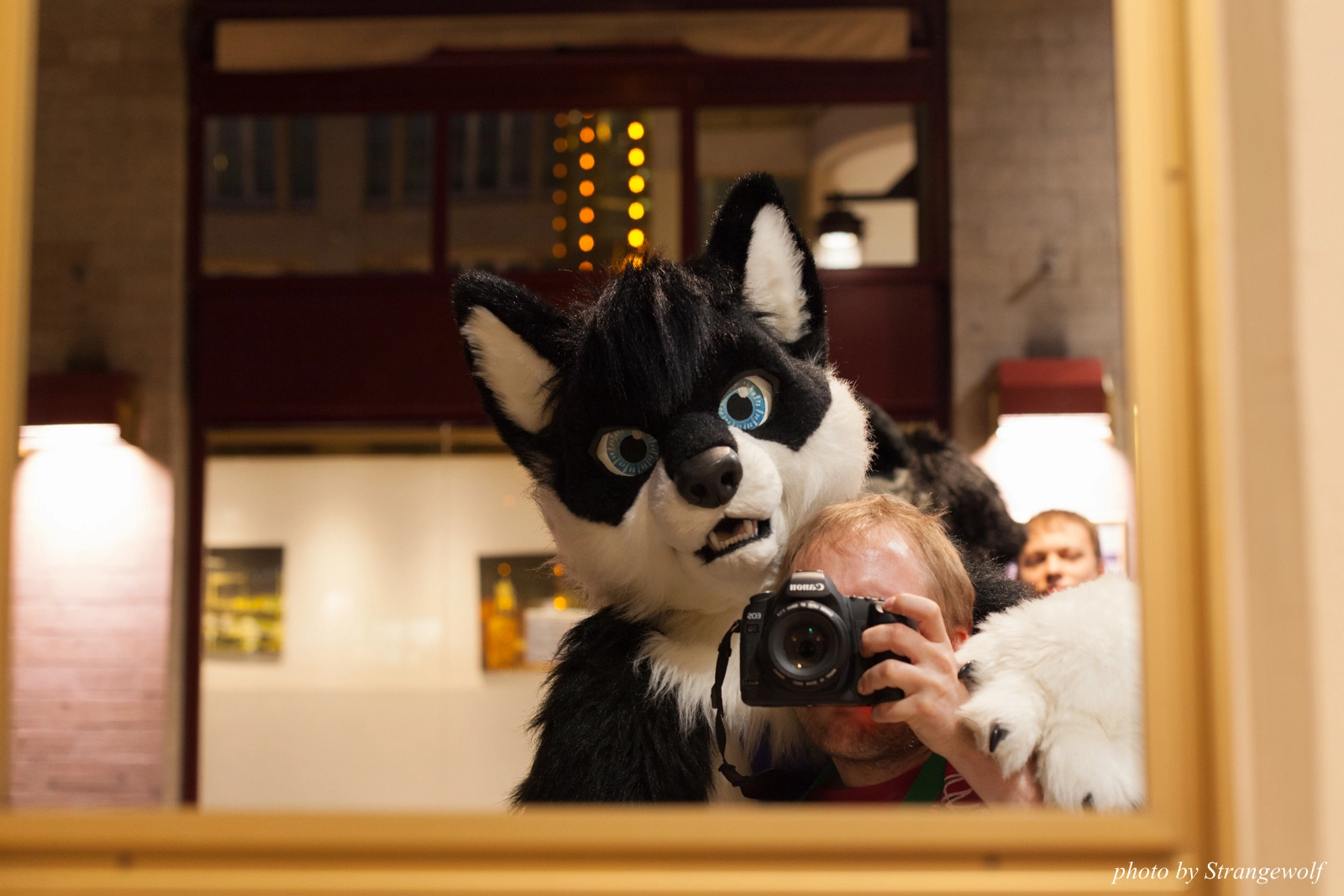 full image IMG_8621-lr16t.jpg