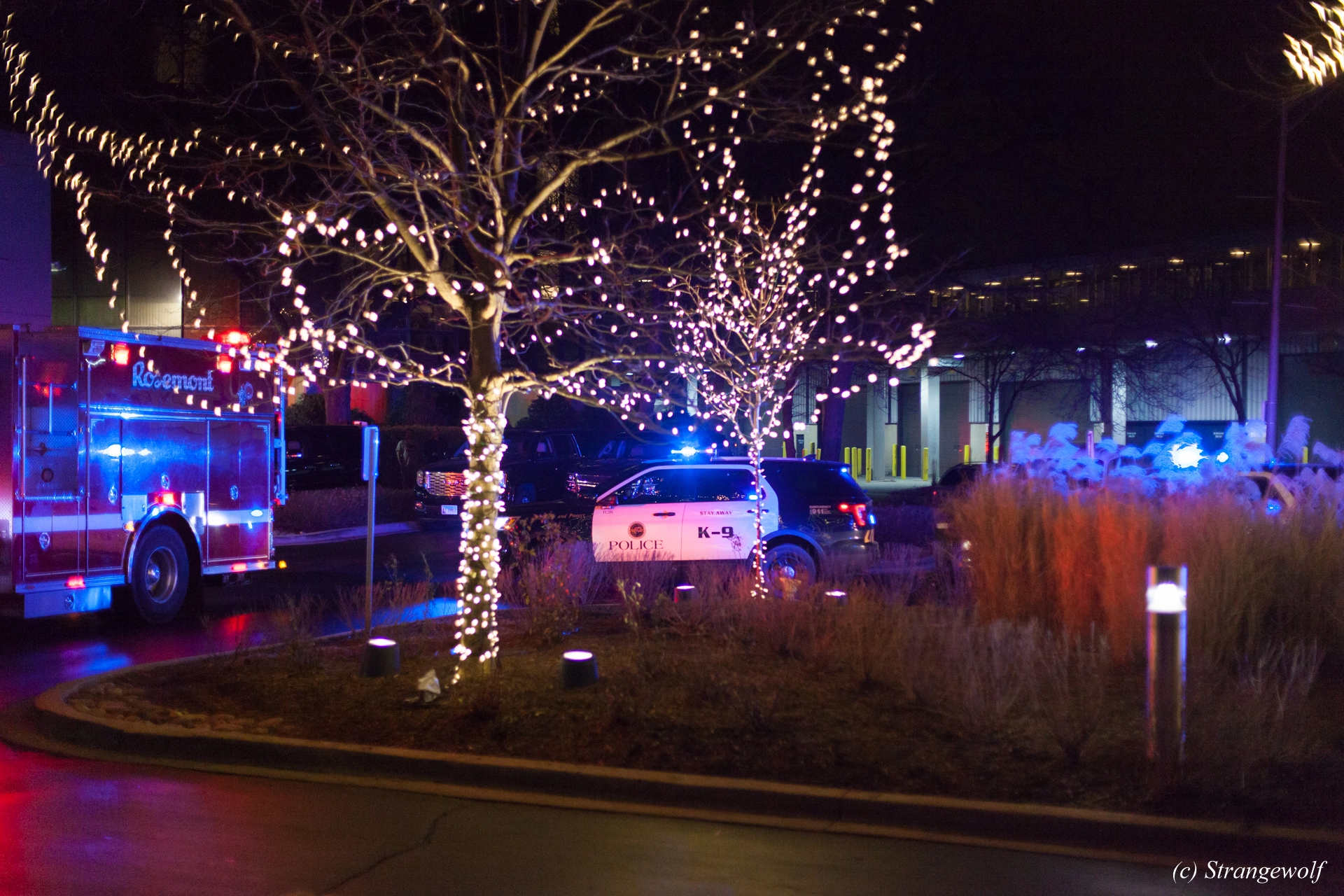 full image IMG_8071-lr19t.jpg