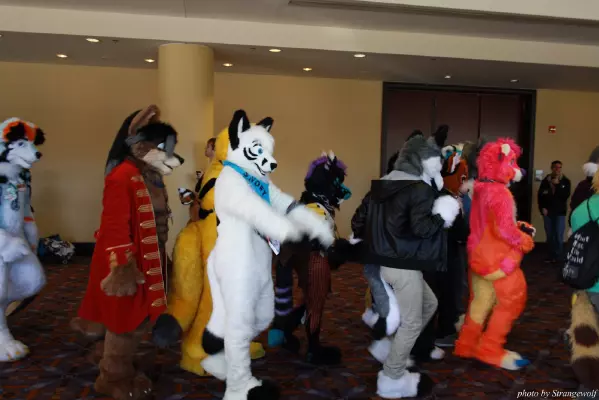 IMG_0501-lr.jpg of MFF/MFF2013/