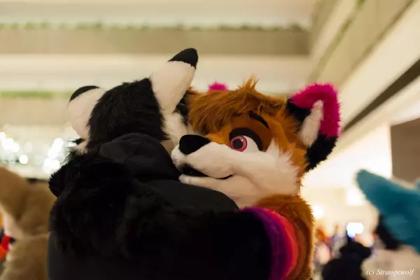 IMG_8010-lr19t.jpg of MFF/MFF2018/