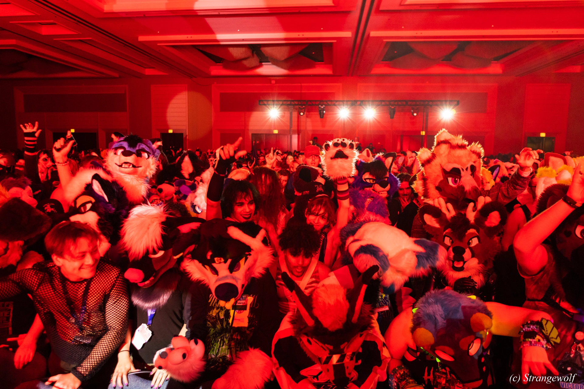 full image 1R3A6526-lr19t.jpg