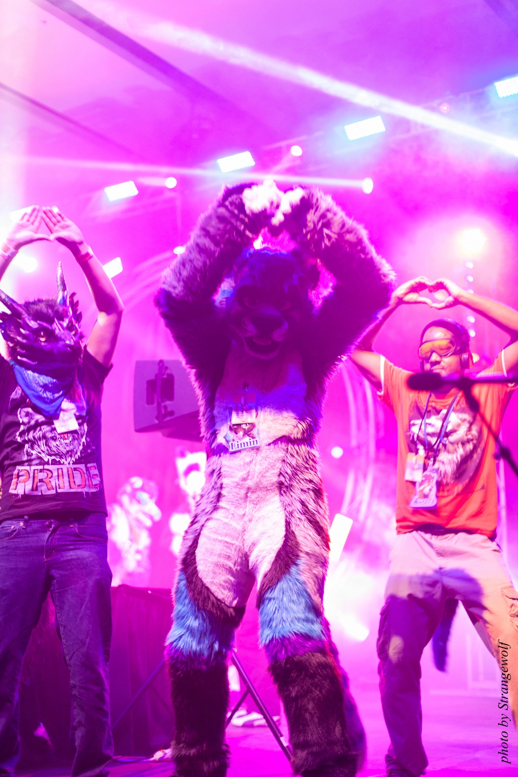 full image IMG_1237-lr16t.jpg