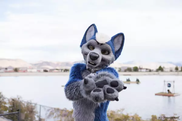IMG_2671-lr19t.jpg of BLFC/2018/