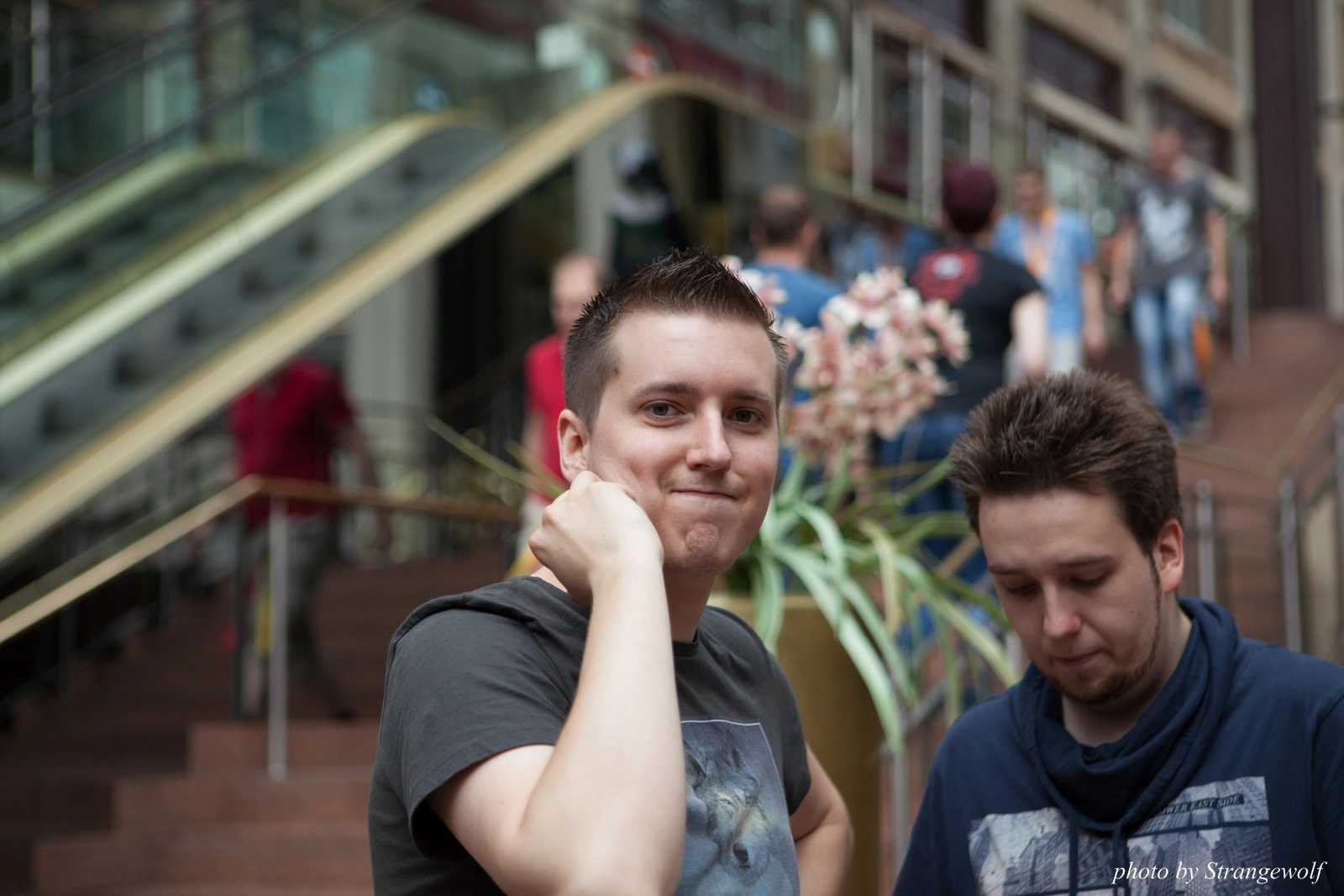 full image IMG_8568-lr16t.jpg