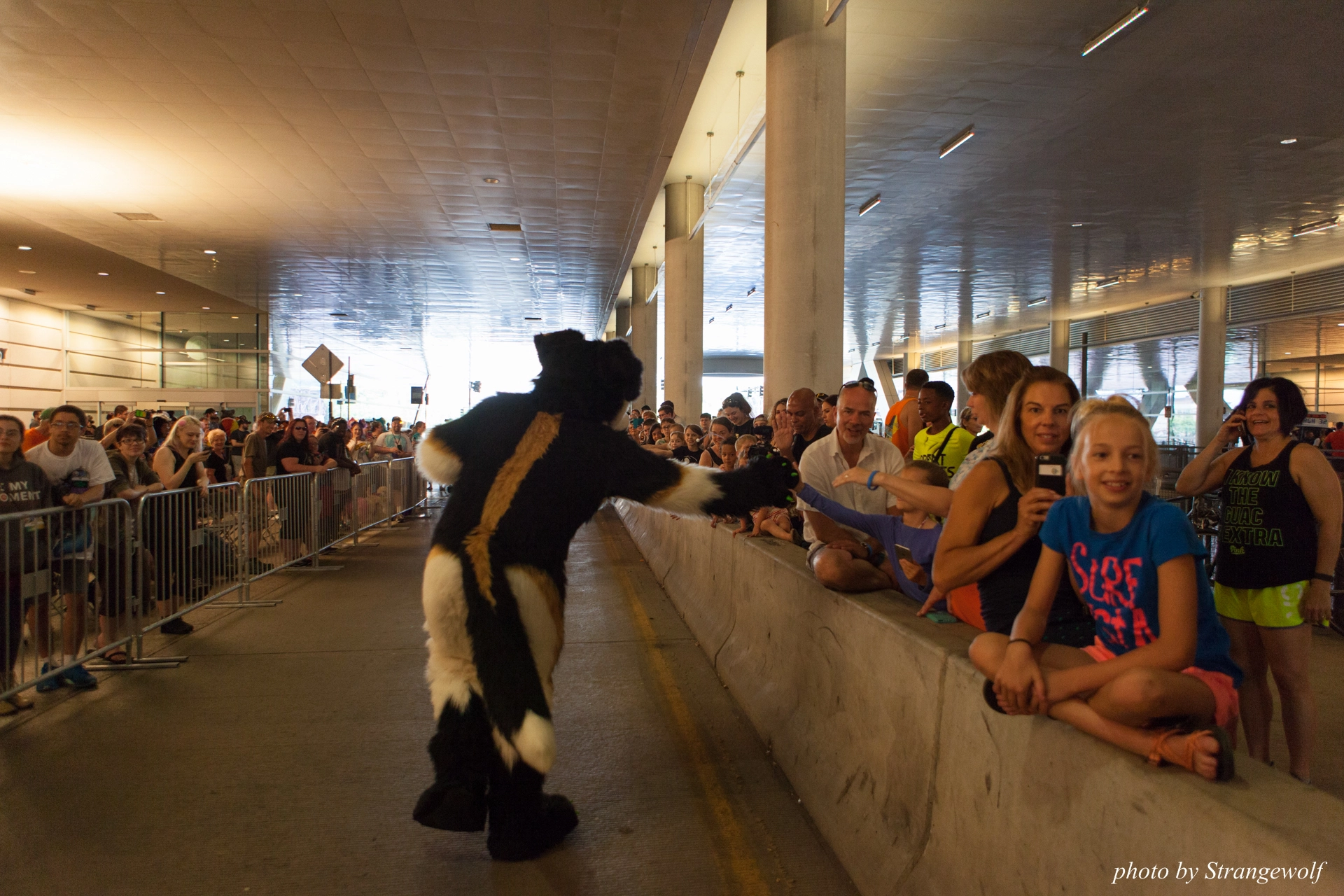 full image IMG_4422-lr19t.jpg