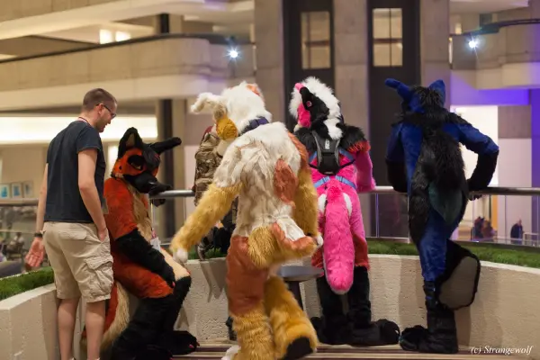 IMG_1380-lr19t.jpg of FWA/FWA2018/