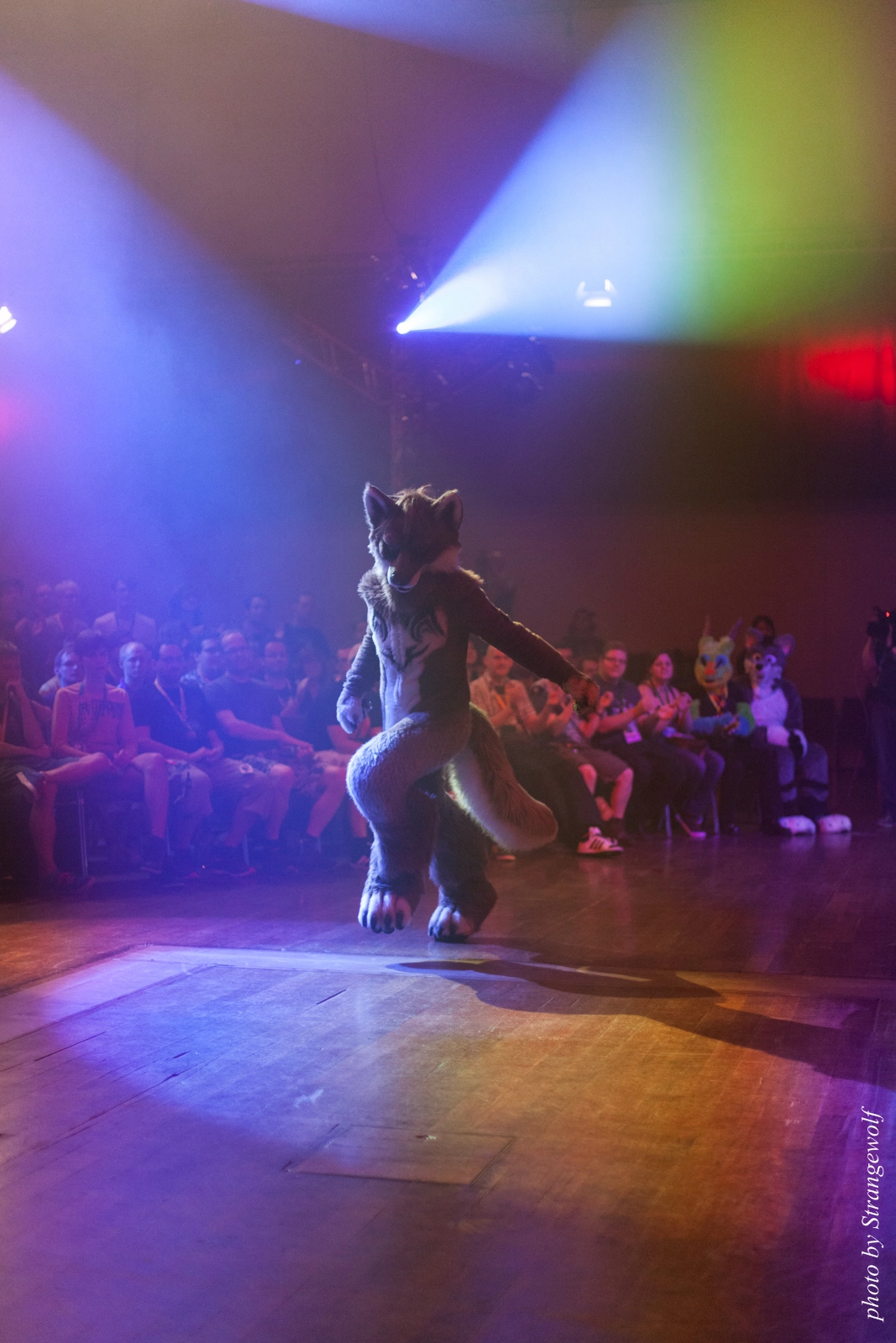 full image IMG_2743-lr16t.jpg