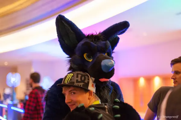 IMG_2014-lr19t.jpg of FWA/FWA2018/