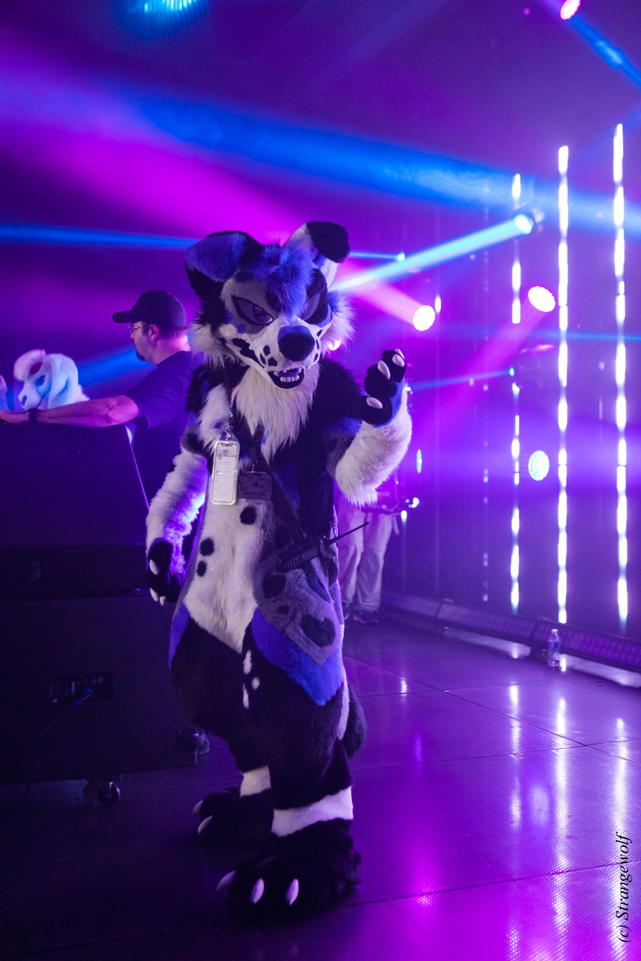 full image 1R3A5494-lr19t.jpg