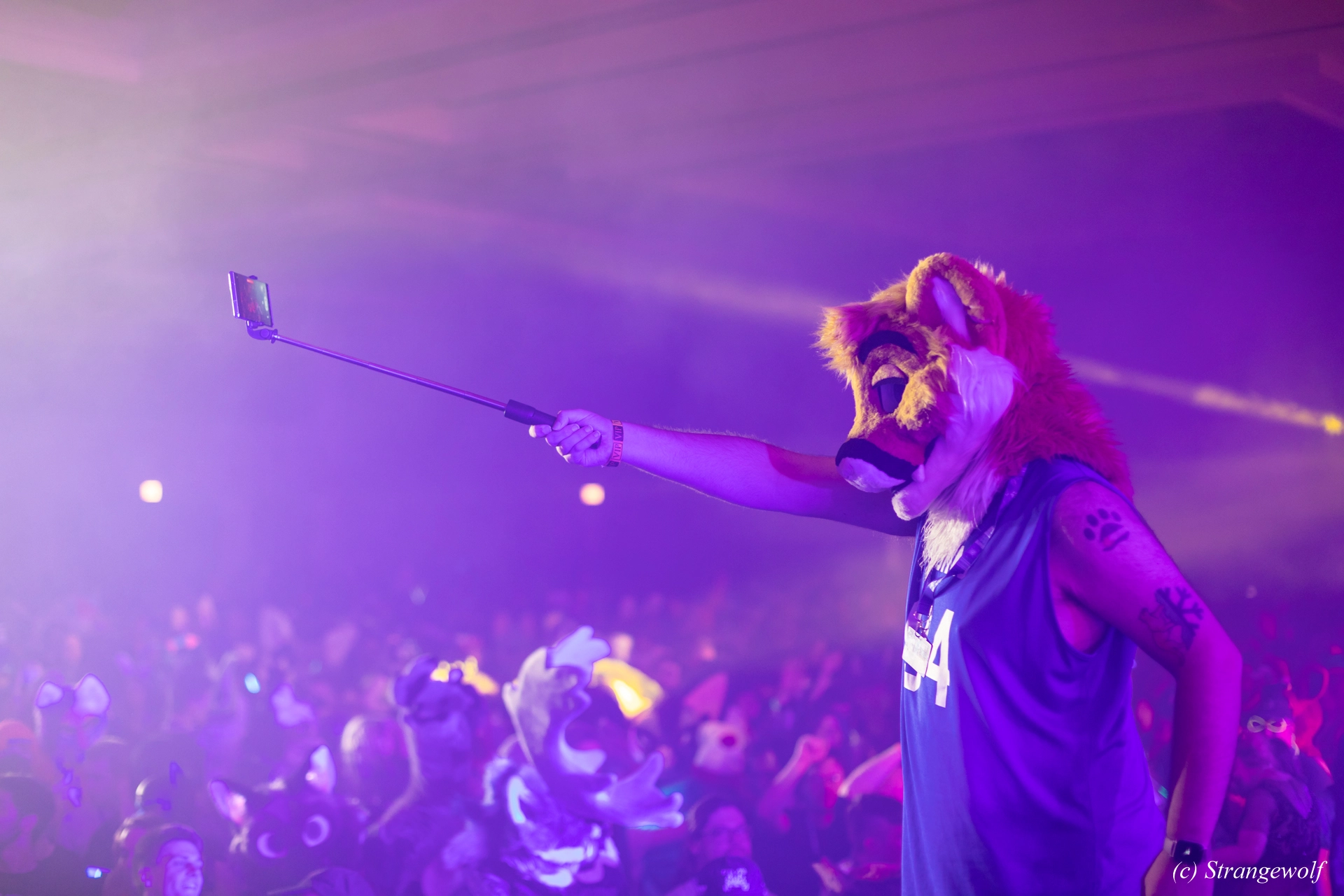 full image 1R3A5601-lr19t.jpg