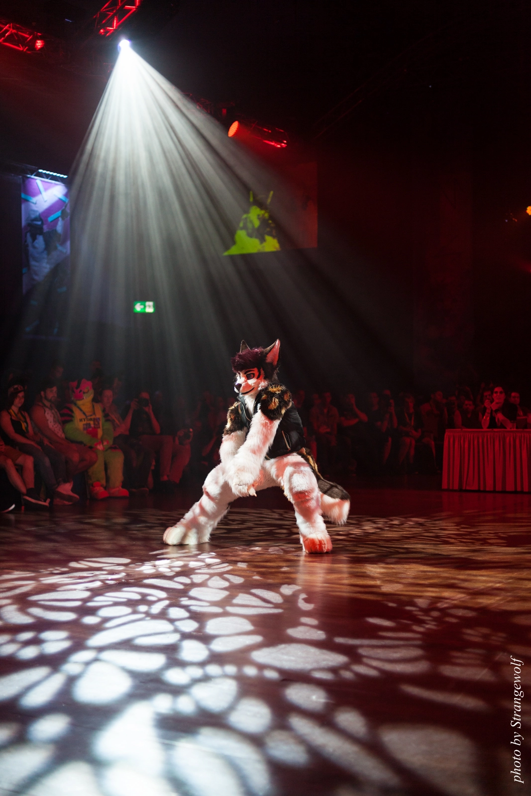 full image IMG_9389-lr16t.jpg