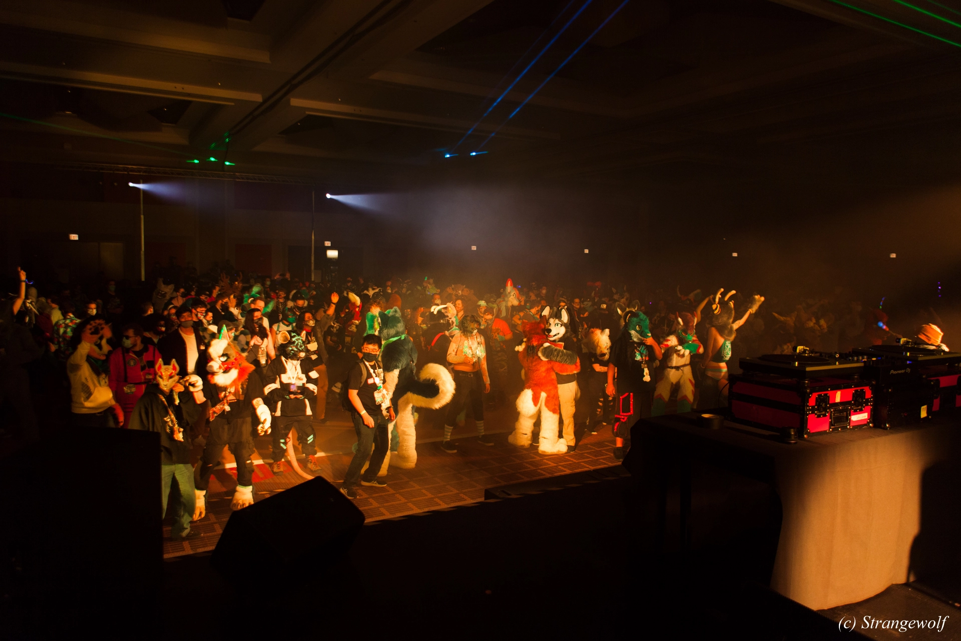 full image IMG_2102-lr19t.jpg