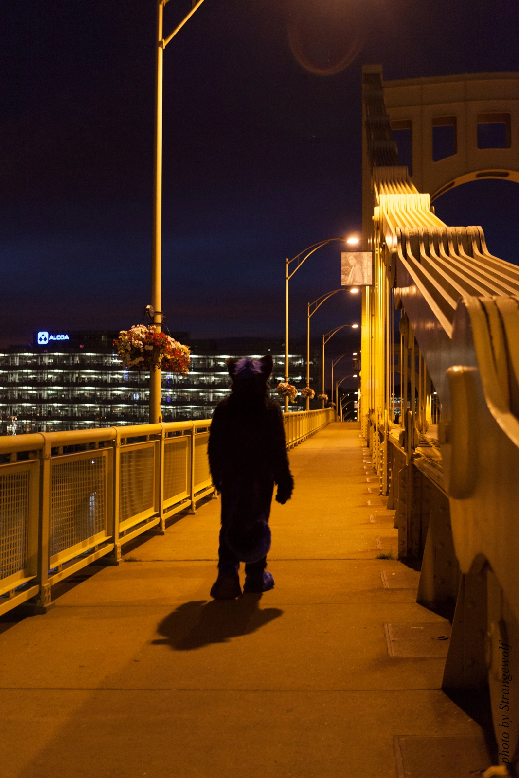 full image IMG_8459-lr16t.jpg